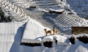 The experiences you must try in Sapa on super cold days