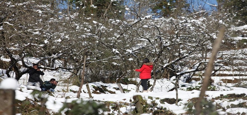 Tourists flock to see rare sight of snow in Sa Pa