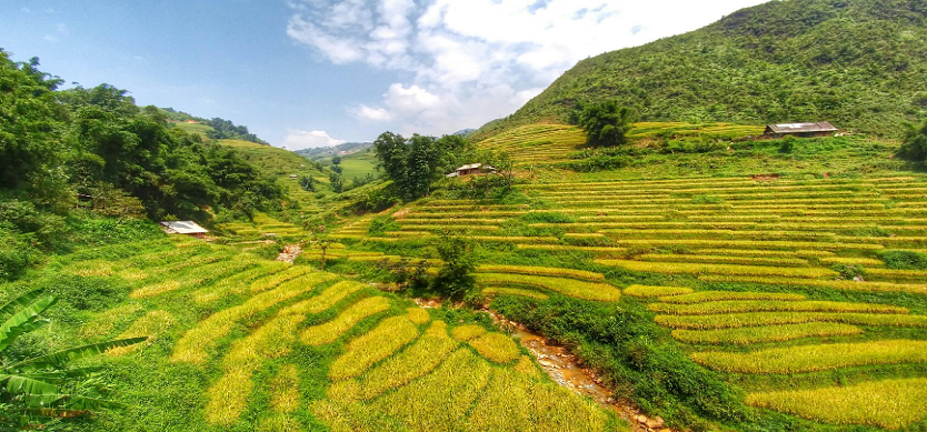 Visit To Villages of Ethnic People in Sapa