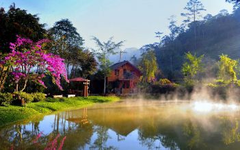 Da Lat Tea and Coffee full day