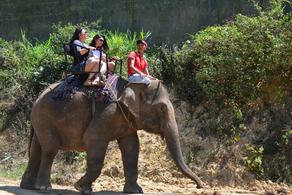 elephant-riding