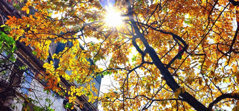 Autumn in Hanoi