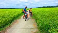 Group tour