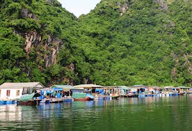 Cua Van Floating Village