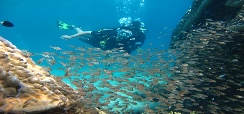 Experiences for Enjoying Amazing Things Do to - Phu Quoc Scuba Diving