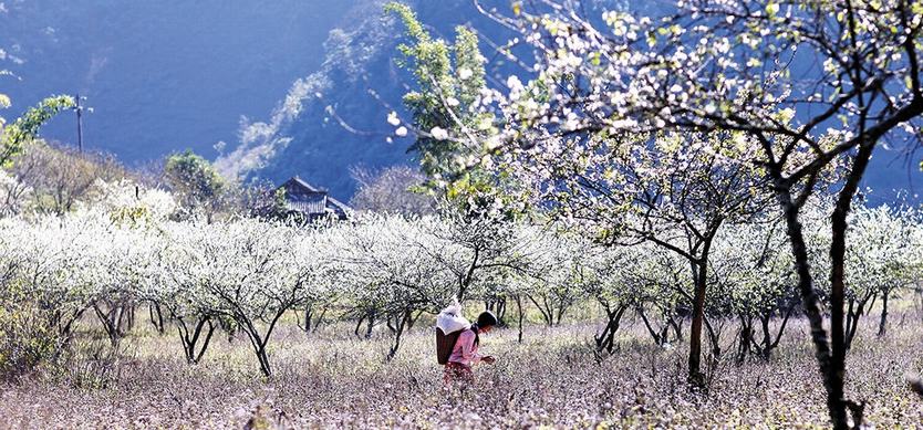 9 Most Attractive Sapa Destinations In The Spring
