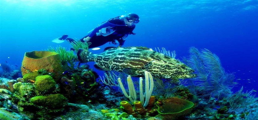 Scuba Diving in Nha Trang