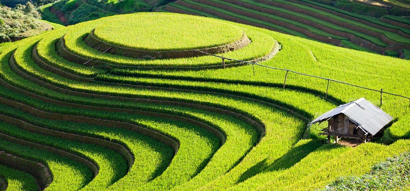 Explore the most beautiful rice terrace