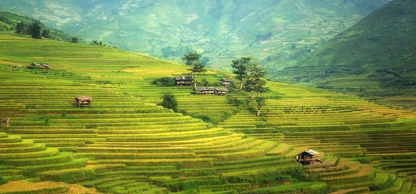 What are needed experiences when coming to Sapa?