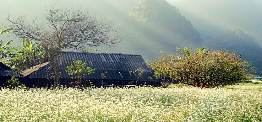 When is the best time to visit Mai Chau?