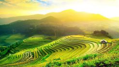 Group tour departure in morning