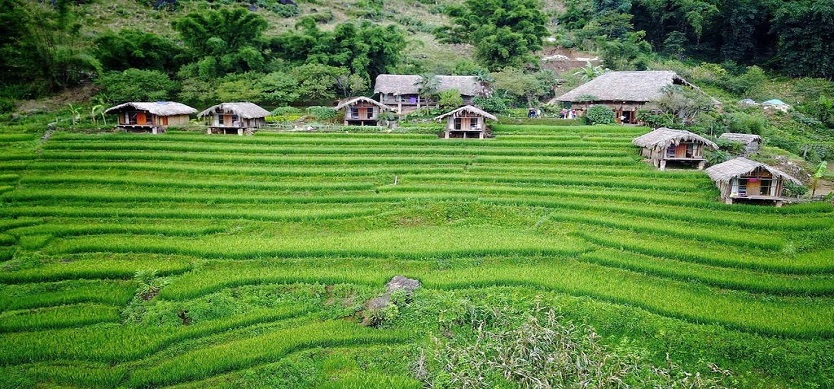 Sapa - Where it is actually located?