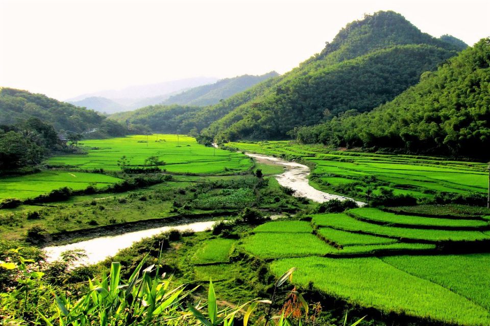 terraced-fields-pu-luong