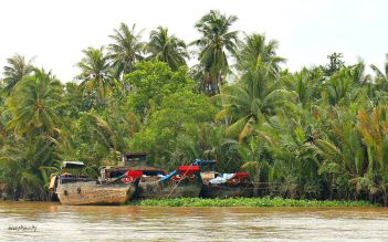Ham Luong - Can Tho 2 days private tour