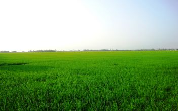 The Real Vietnam Experience Full Day