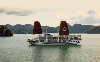 Apricot Premium cruise 3 days/ 2 nights