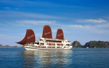 Stellar Cruise 2 days/ 1 night