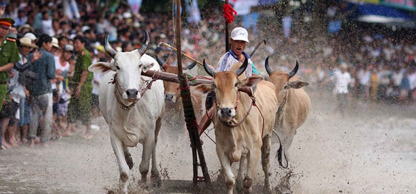 The biggest festivals of the year in Mekong Delta