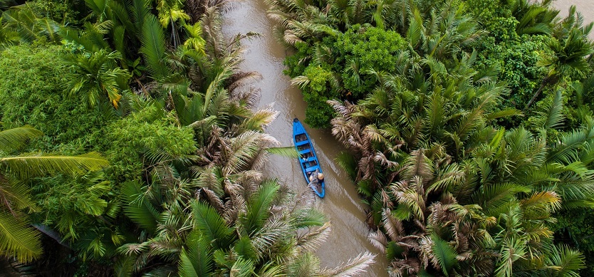 All you need to know when traveling to Mekong Delta