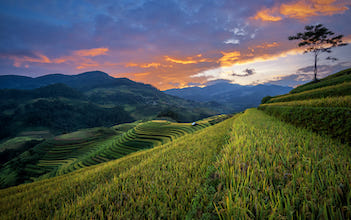 Sapa Medium Trek 3D4N (homestay-hotel) by train