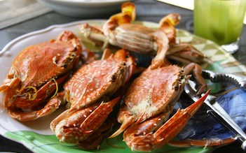 North & South of Phu Quoc full day tour
