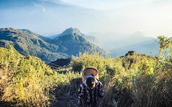 Sapa trekking by bus 3D2N (hotel stay)