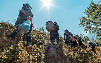 Sapa trekking by bus 3D2N (homestay and hotel stay)