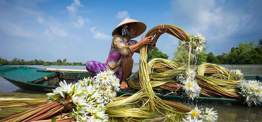 Discover the lively beauty of Mekong Delta in the flood season
