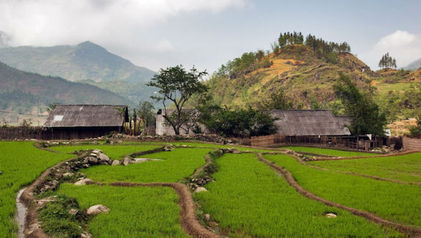 Private tour from Sapa
