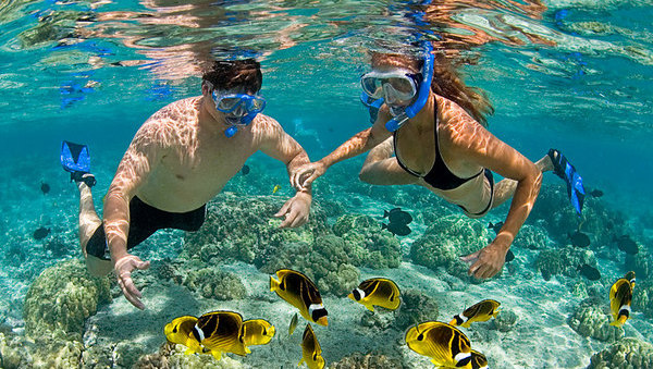 Private tour without lunch