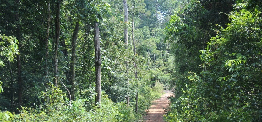 Must-see Phu Quoc National Park