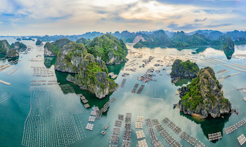 The most beautiful fishing villages in Halong Bay and Bai Tu Long Bay